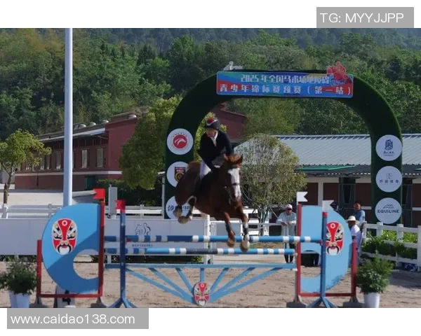 北京市青少年马术锦标赛举办 专业教练给出马术学习主张
